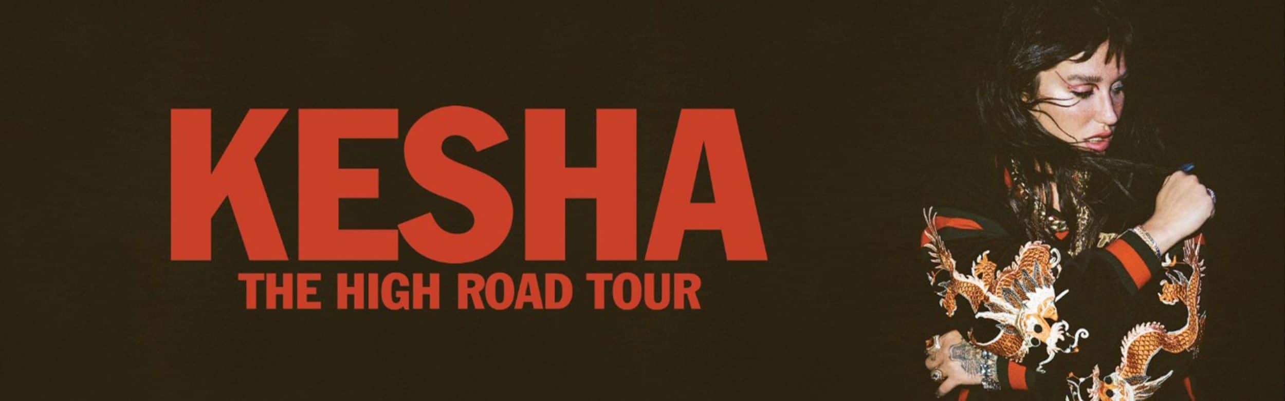 Kesha - The High Road Tour poster